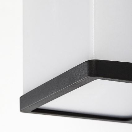 Rabalux - Επιτοίχιο φωτιστικό εξωτερικού χώρου LED LED/10W/230V IP54 μαύρο