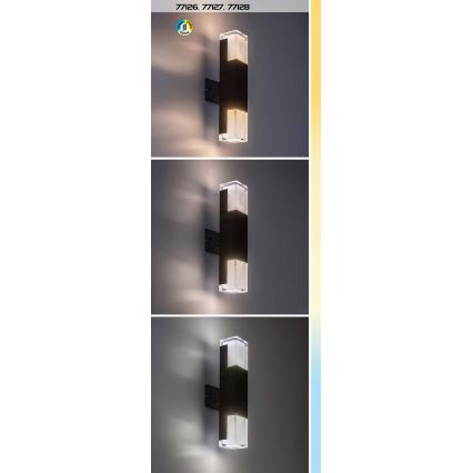 Rabalux - LED Εξωτερικό Επιτοίχιο Φωτιστικό LED/12W/230V 2700/4000/6000K IP54