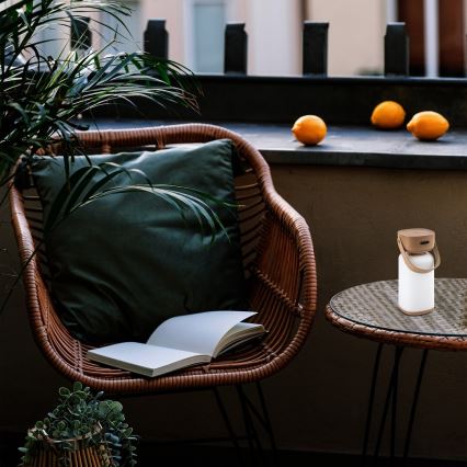 Rabalux - LED Επιτραπέζιο φωτιστικό αφής επαναφορτιζόμενο εξωτερικού χώρου LED/3W/5V IP44 καφέ