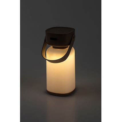 Rabalux - LED Επιτραπέζιο φωτιστικό αφής επαναφορτιζόμενο εξωτερικού χώρου LED/3W/5V IP44 καφέ