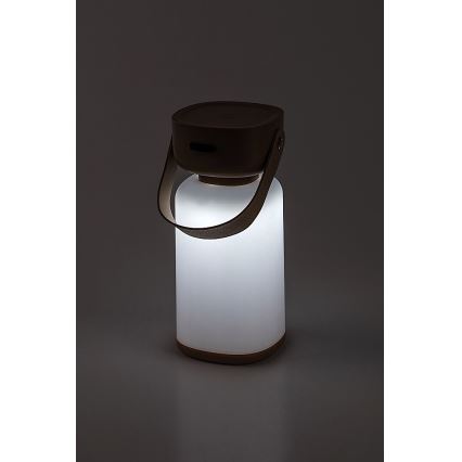 Rabalux - LED Επιτραπέζιο φωτιστικό αφής επαναφορτιζόμενο εξωτερικού χώρου LED/3W/5V IP44 καφέ