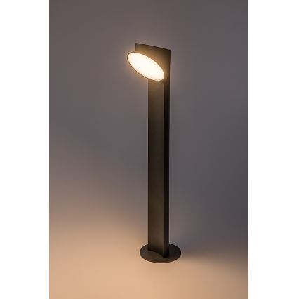 Rabalux - Φωτιστικό LED εξωτερικού χώρου LED/12W/230V IP54