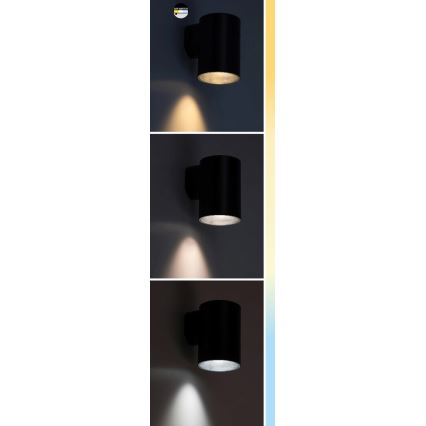 Rabalux - Επιτοίχιο φωτιστικό εξωτερικού χώρου LED LED/18W/230V 2700/4000/6500K IP65 μαύρο