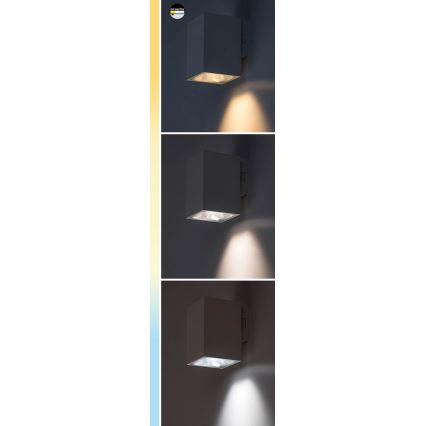 Rabalux - Επιτοίχιο φωτιστικό εξωτερικού χώρου LED LED/18W/230V 2700/4000/6500K IP65 λευκό