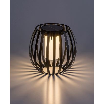 Rabalux - Ηλιακό φωτιστικό LED LED/1W/1,2V 300mAh IP44