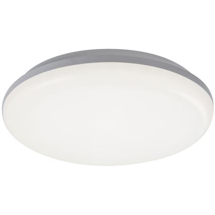 Rabalux - Φως οροφής εξωτερικού χώρου LED LED/24W/230V IP64