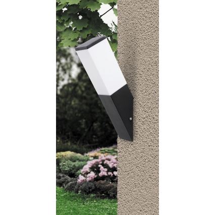 Rabalux - Φως τοίχου εξωτερικού χώρου 1xE27/60W/230V IP44