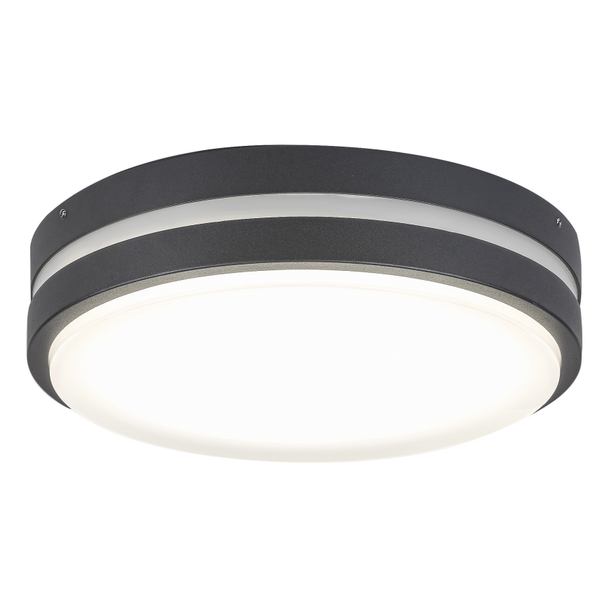 Rabalux 8848 - Φως τοίχου εξωτερικού χώρου LED HAMBURG LED/12W/230V IP44
