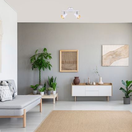 Rabalux - Φωτιστικό σποτ 2xGU10/50W/230V