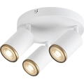 Rabalux - Φωτιστικό σποτ οροφής 3xGU10/15W/230V λευκό