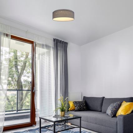 Rabalux - Φωτιστικό οροφής LED/22W/230V γκρι Ø 40 cm