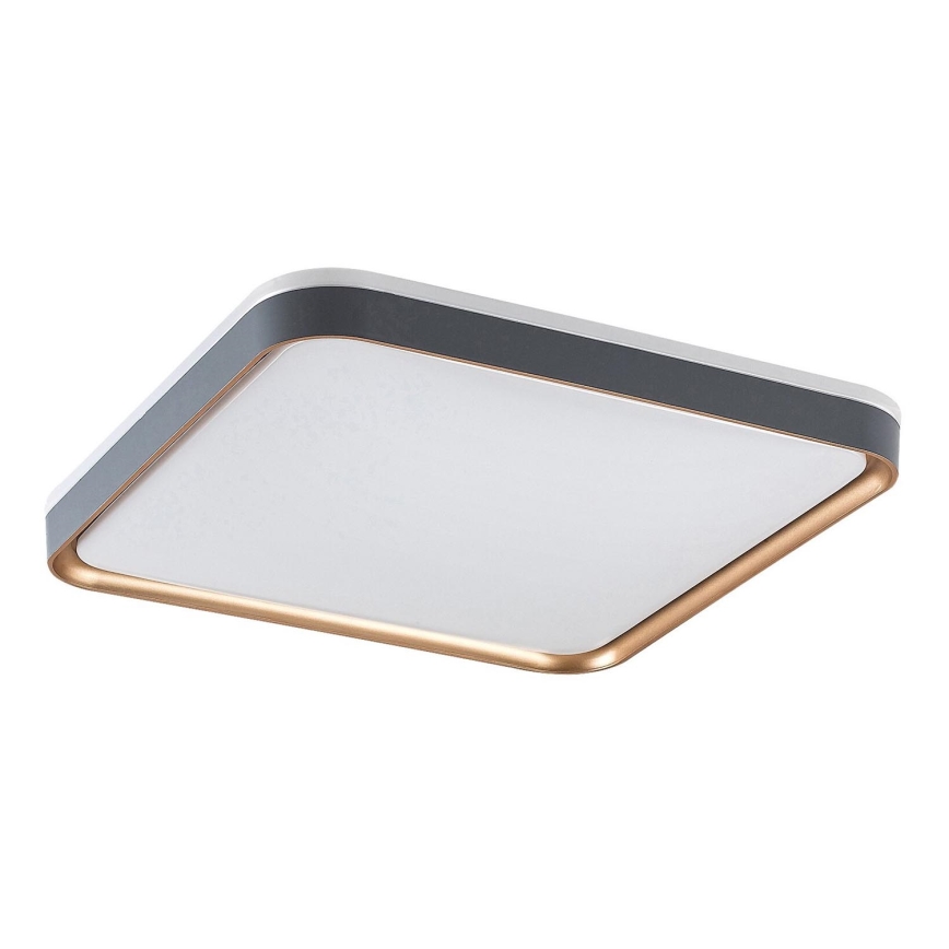 Rabalux - Φωτιστικό οροφής LED/26W/230V 3000K 39,5x39,5 cm
