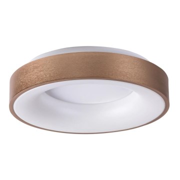 Rabalux - Φωτιστικό οροφής LED CARMELA LED/30W/230V διάμετρος 38 cm