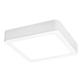 Rabalux - Φωτιστικό οροφής LED LED/18W/230V 17x17 cm