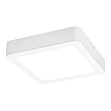 Rabalux - Φωτιστικό οροφής LED LED/24W/230V 22x22 cm