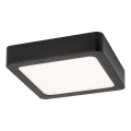 Rabalux - Φωτιστικό οροφής LED LED/7W/230V 4000K 12x12 cm μαύρο
