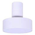 Rabalux - Φωτιστικό οροφής LED LED/16W/230V 3000K λευκό