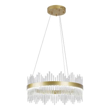 Rabalux -  Κρεμαστό φωτιστικό οροφής LED LED/36W/230V 3000/4000/6000K χρυσαφί