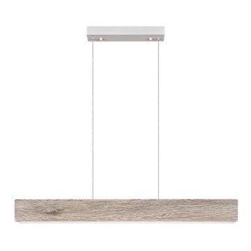 Rabalux  - Κρεμαστό φωτιστικό οροφής LED ράγα CINNAMON LED/34W/230V