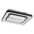 Rabalux - LED Φωτιστικό οροφής dimmable με ανεμιστήρα LED/50W/230V 3000/4000/6000K Wi-Fi + τηλεχειριστήριο