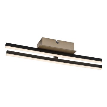 Rabalux - LED Φωτιστικό οροφής LED/16W/230V 4000K 13x41 cm