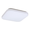 Rabalux - LED φωτιστικό οροφής LED/20W/230V 29x29 cm