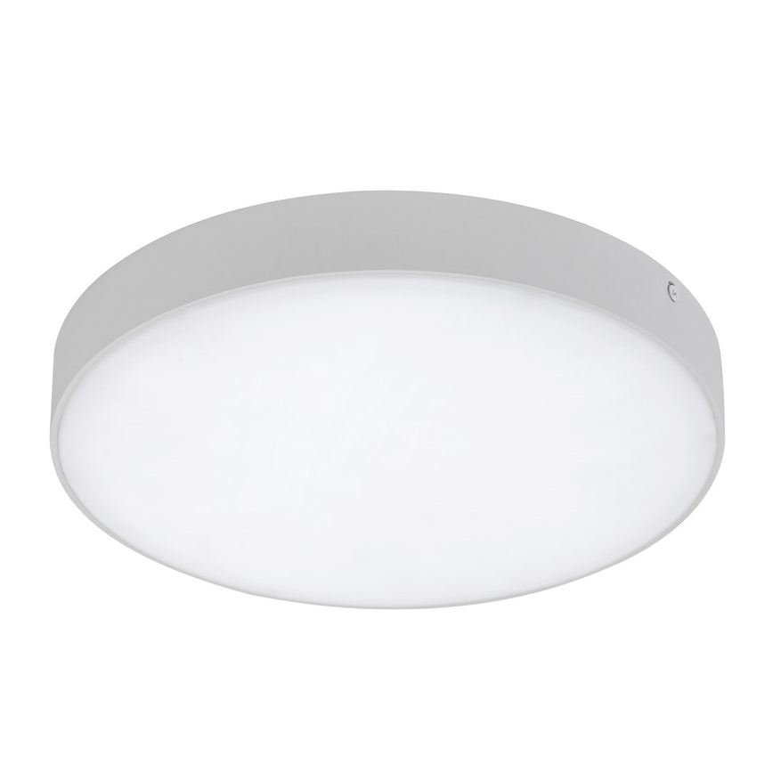 Rabalux - LED φωτιστικό οροφής LED/24W/230V 2800-6000K IP44 λευκό, διάμ. 30 cm