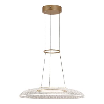 Rabalux - LED κρεμαστό φωτιστικό σε καλώδιο ανάρτησης LED/24W/230V 3000K