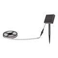 Rabalux - LED Ηλιακή λωρίδα LED/0,26W/3,2V 4,9m IP44 400 mAh