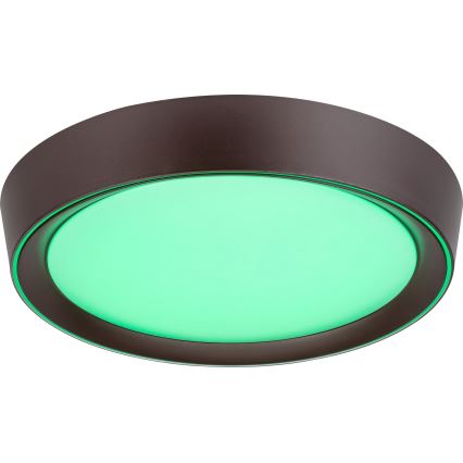 Rabalux - Ρυθμιζόμενο LED οροφής φωτιστικό RGB LED/24W/230V 3000-6000K με τηλεχειριστήριο