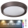 Rabalux - LED RGB Dimmable φωτιστικό οροφής LED/24W/230V +  RC 3000-6000K