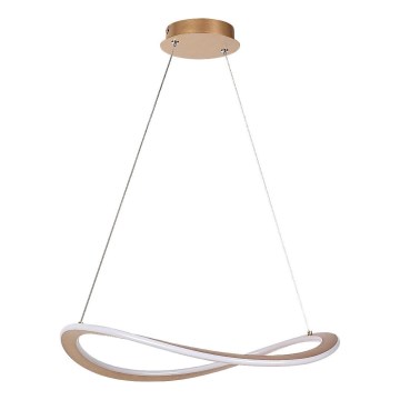 Rabalux - LED κρεμαστό φωτιστικό με καλώδιο LED/40W/230V 3000K