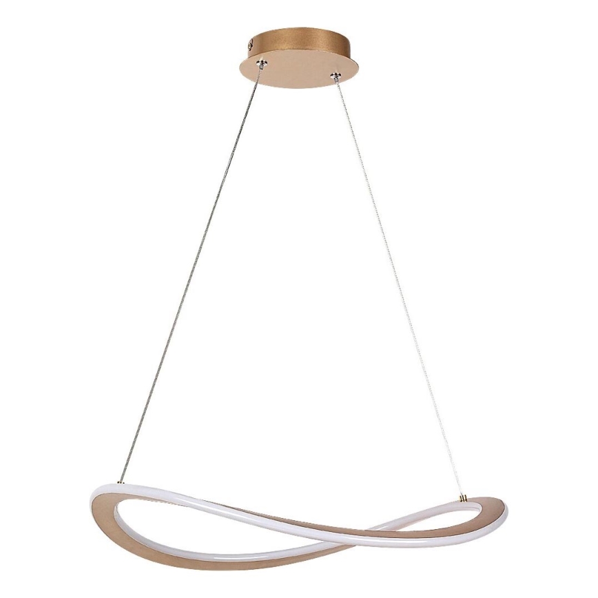 Rabalux - LED κρεμαστό φωτιστικό με καλώδιο LED/40W/230V 3000K