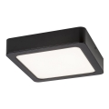 Rabalux - LED Οροφής Φωτιστικό LED/17W/230V 17x17 εκ.