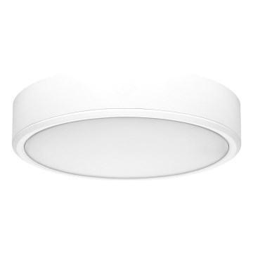 Rabalux - LED Οροφωτιστικό LED/22W/230V 3000/4000/6000K διάμ. 21 εκ. λευκό