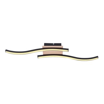 Rabalux - LED Οροφία Φωτιστικό 2xLED/12W/230V