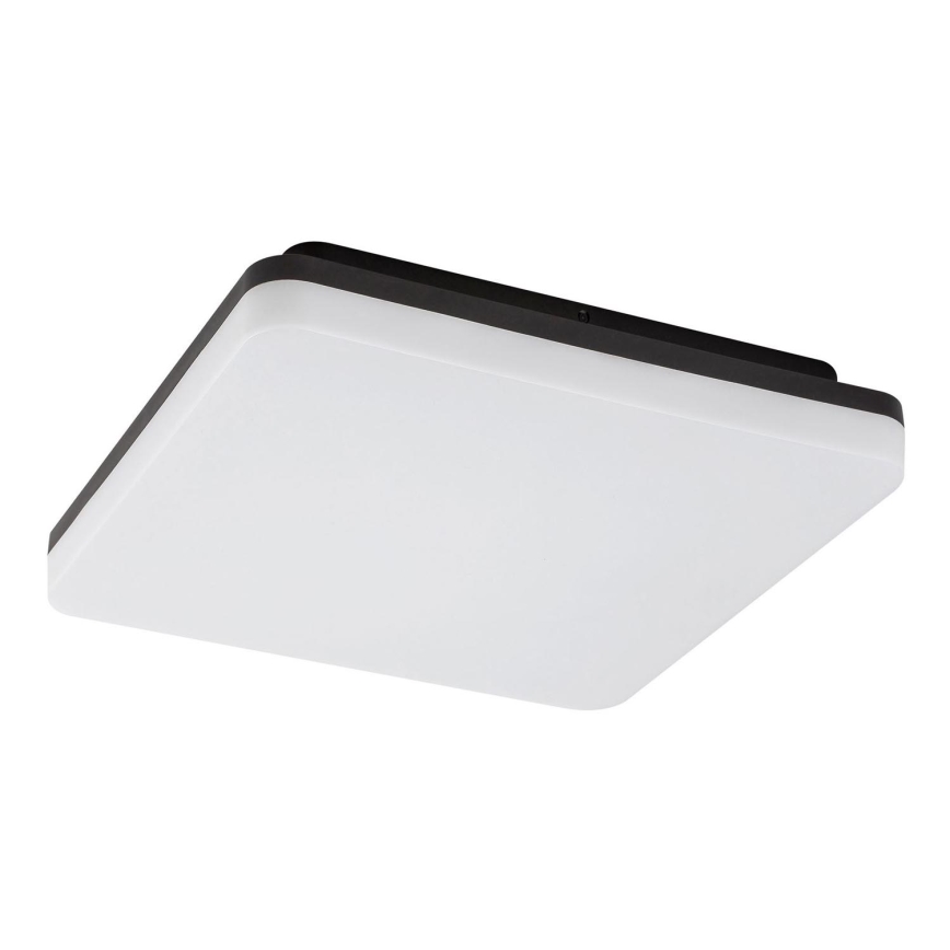 Rabalux - LED Οροφωτιστικό μπάνιου LED/24W/230V IP54