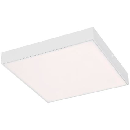 Rabalux - LED Φωτιστικό οροφής LED/24W/230V 3000-6000K IP44 λευκό