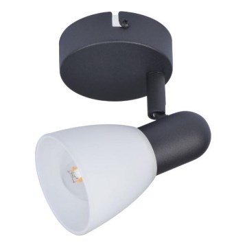 Rabalux - Σποτ φωτισμού 1xE14/40W/230V