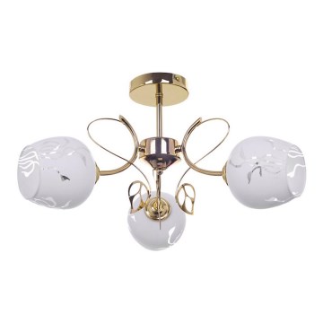 Rabalux - Πολύφωτο  3xE27/40W/230V