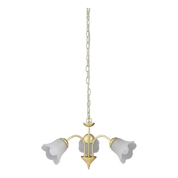 Rabalux - Πολύφωτο σε αλυσίδα 3xE14/40W/230V