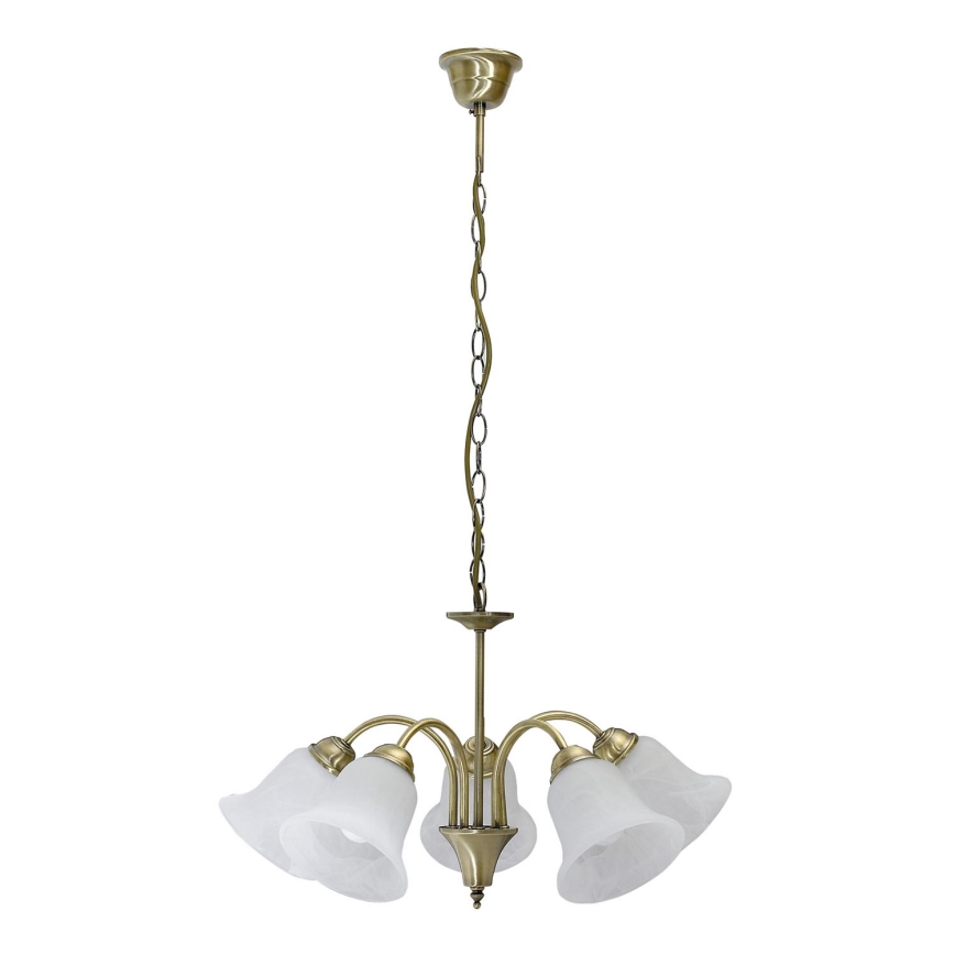 Rabalux - Πολύφωτο σε αλυσίδα 5xE14/40W/230V