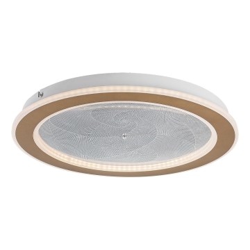Rabalux - Ρυθμιζόμενο φωτιστικό οροφής LED/24W/230V 3000-6500K διάμ. 40 cm + τηλεχειριστήριο