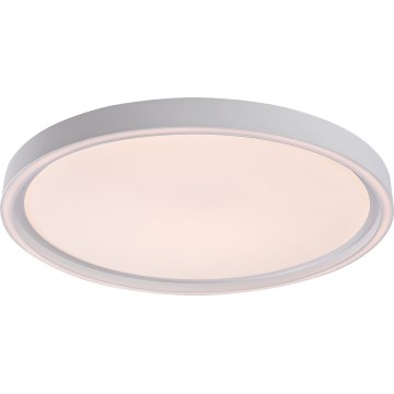 Rabalux - Ρυθμιζόμενο φωτιστικό οροφής LED/31W/230V IP40 3000-6500K Ø 41,5 cm + τηλεχειριστήριο