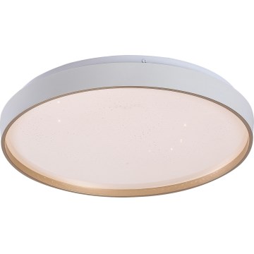 Rabalux - Ρυθμιζόμενο φωτιστικό οροφής LED, 34W/230V, 3000–6500K, διάμ. 38 εκ. + τηλεχειριστήριο