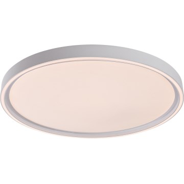 Rabalux - Ρυθμιζόμενο φωτιστικό οροφής LED/54W/230V IP40 3000-6500K Ø 52 cm + τηλεχειριστήριο