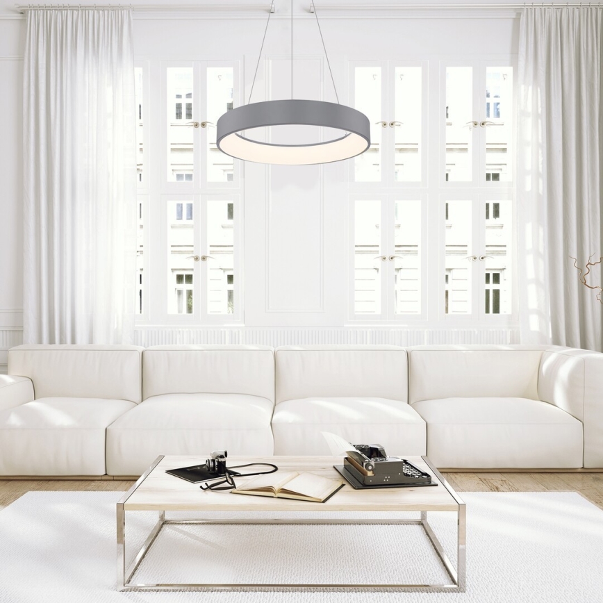 Rabalux - Ρυθμιζόμενο LED φωτιστικό οροφής με καλώδιο LED/24W/230V στρογγυλό 3000-6000K + τηλεχειριστήριο