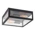 Rabalux - Εξωτερικό οροφής φωτιστικό 2xE27/60W/230V IP23