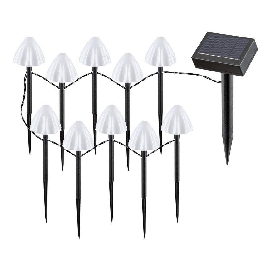 Rabalux - Ηλιακό φωτιστικό LED 10xLED/0,2W/1,2V IP44 300 mAh
