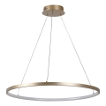 Rabalux - Κρεμαστό LED φωτιστικό με καλώδιο LED/55W/230V 3000K